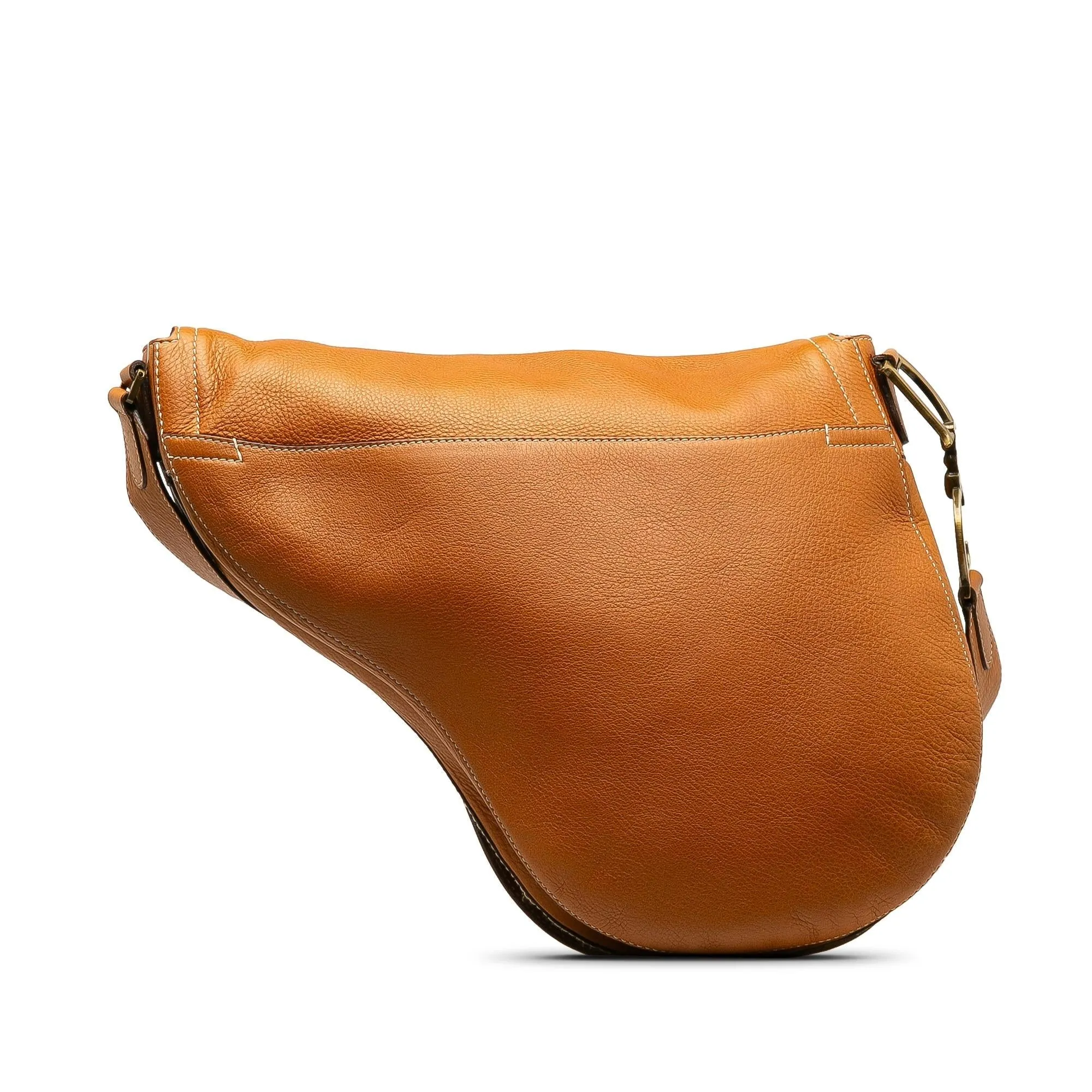 Dior Leather Saddle Crossbody Bag (SHG-hfkG0t)